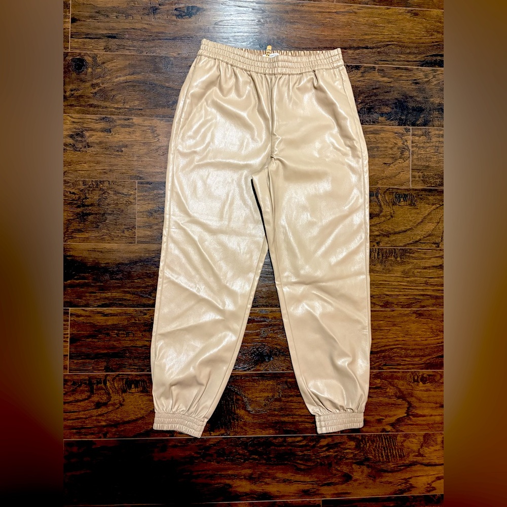 Aritzia Babaton faux leather joggers